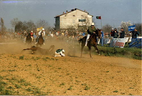 corsecavalli1986_00155620 - Copia.jpg